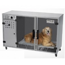 20217 - MAQUINA DE SECAR ANIMAIS 220V INOX