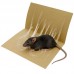 RATOEIRA ADESIVA COLA RATO 26X19