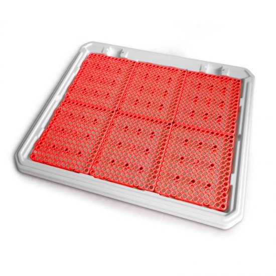 Pipi Place Banheiro Higiênico P/ Cães Femea Animalissimo - Vermelho