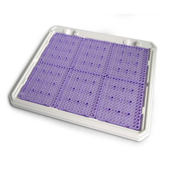 Pipi Place Banheiro Higiênico P/ Cães Femea Animalissimo - Lilás