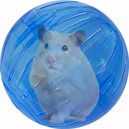 GLOBO P/HAMSTER