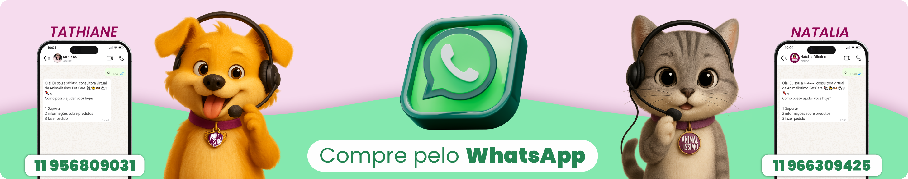 WhatsApp Televendas
